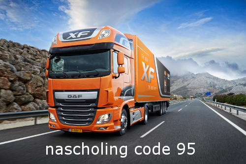 nascholing Code 95